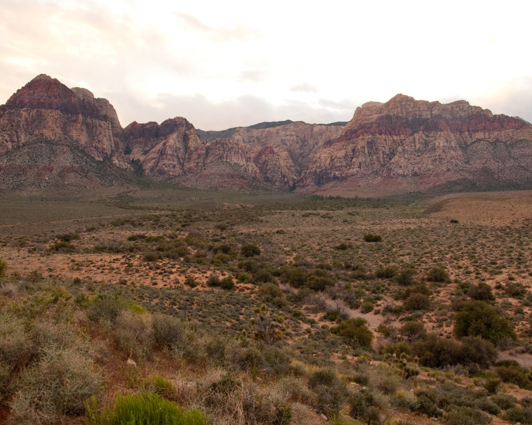 Red Rock Valley 20100511_0277