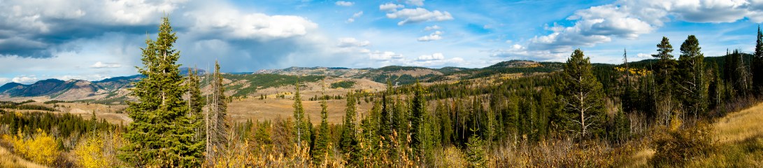 Wyoming View